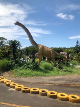 伊豆ぐらんぱる公園に投稿された画像（2020/9/1）