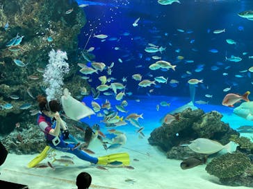 サンシャイン水族館に投稿された画像（2020/9/1）