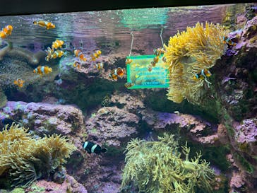 サンシャイン水族館に投稿された画像（2020/9/1）