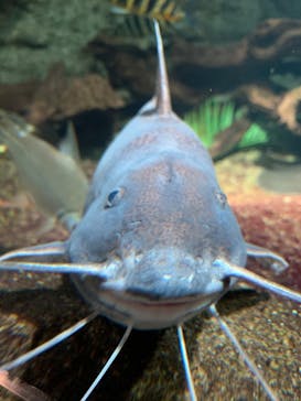 サンシャイン水族館に投稿された画像（2020/9/1）