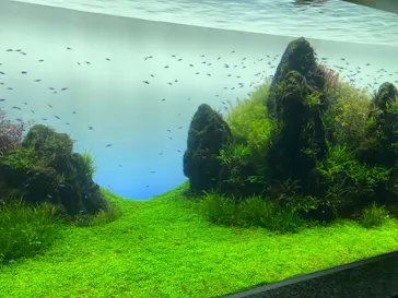 すみだ水族館に投稿された画像（2020/9/1）