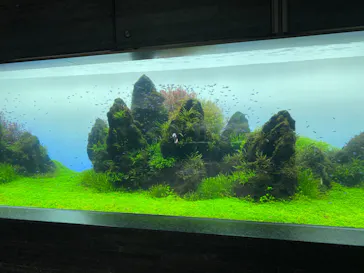 すみだ水族館に投稿された画像（2020/9/1）