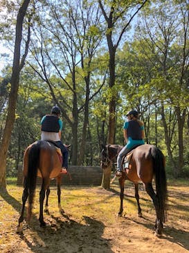 MIKIホーストレックに投稿された画像（2020/9/1）