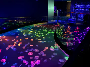 すみだ水族館に投稿された画像（2020/9/1）