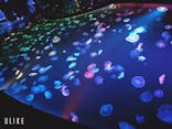 すみだ水族館に投稿された画像（2020/9/2）