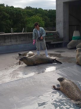 旭川市旭山動物園に投稿された画像（2020/9/1）