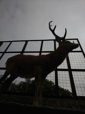 旭川市旭山動物園に投稿された画像（2020/9/1）