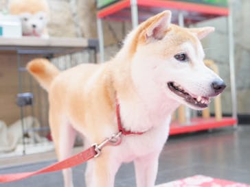 み奈美亭に投稿された画像（2020/9/2）