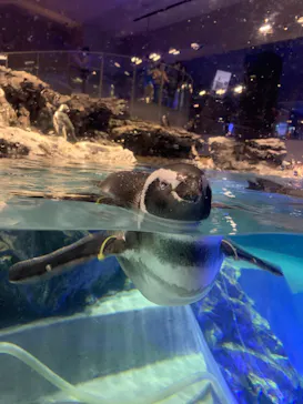 すみだ水族館に投稿された画像（2020/8/20）