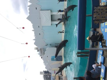 株式会社Gに投稿された画像（2020/9/2）