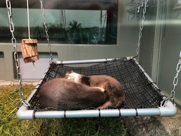 サンシャイン水族館に投稿された画像（2020/9/2）