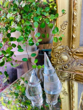 impera accessory（インペラアクセサリー）に投稿された画像（2020/9/2）