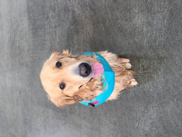 わんダフルネイチャーヴィレッジに投稿された画像（2020/9/2）