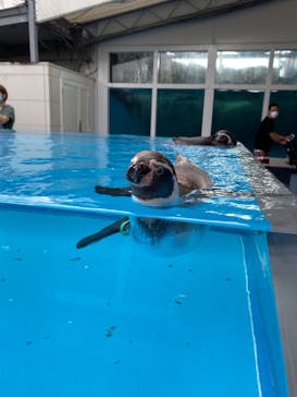 鳥羽水族館に投稿された画像（2020/9/2）