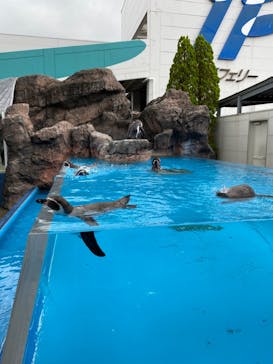 鳥羽水族館に投稿された画像（2020/9/2）