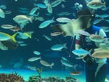 サンシャイン水族館に投稿された画像（2020/9/2）