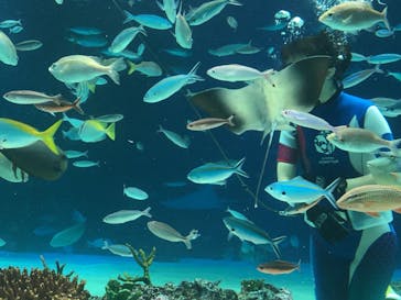 サンシャイン水族館に投稿された画像（2020/9/2）