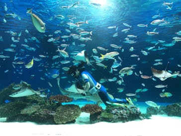 サンシャイン水族館に投稿された画像（2020/9/2）