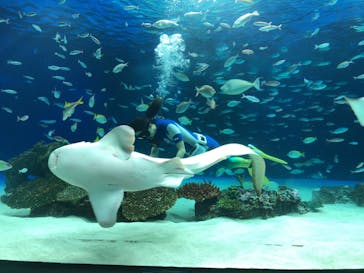 サンシャイン水族館に投稿された画像（2020/9/2）