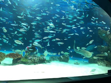 サンシャイン水族館に投稿された画像（2020/9/2）