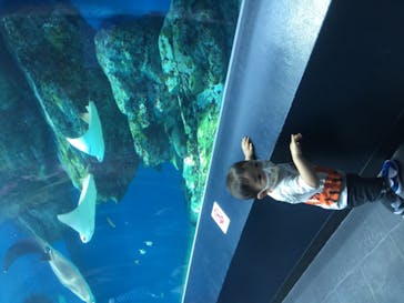 マクセル アクアパーク品川に投稿された画像（2020/9/2）