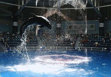 マクセル アクアパーク品川に投稿された画像（2020/9/2）