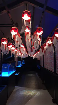 すみだ水族館に投稿された画像（2020/9/2）