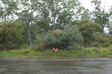 Old Place（オールドプレイス）に投稿された画像（2020/9/3）