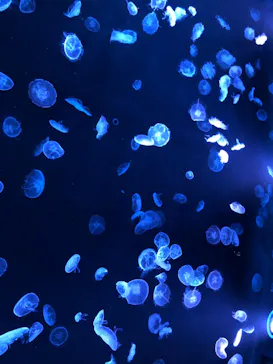 すみだ水族館に投稿された画像（2020/9/3）