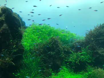 すみだ水族館に投稿された画像（2020/9/3）