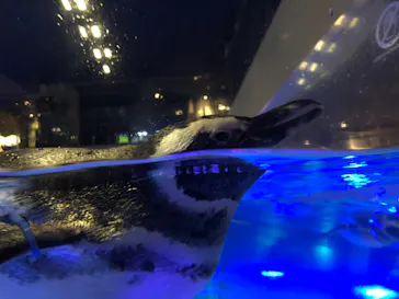 すみだ水族館に投稿された画像（2020/9/3）