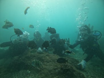 武藤潜水に投稿された画像（2020/9/3）