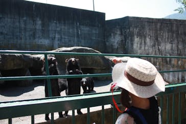 奥飛騨クマ牧場に投稿された画像（2020/9/3）