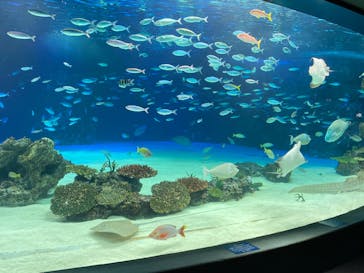 サンシャイン水族館に投稿された画像（2020/9/3）