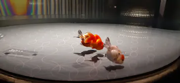 すみだ水族館に投稿された画像（2020/9/3）