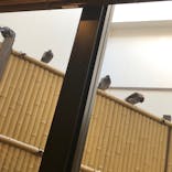 湘南RESORT SPA 竜泉寺の湯に投稿された画像（2020/9/3）