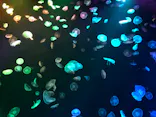 すみだ水族館に投稿された画像（2020/9/3）