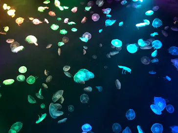 すみだ水族館に投稿された画像（2020/9/3）