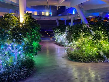 サンシャイン水族館に投稿された画像（2020/9/3）