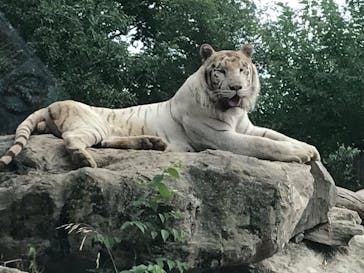 群馬サファリパークに投稿された画像（2020/9/3）