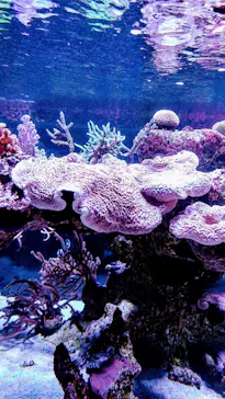 すみだ水族館に投稿された画像（2020/9/4）