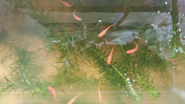 すみだ水族館に投稿された画像（2020/9/4）