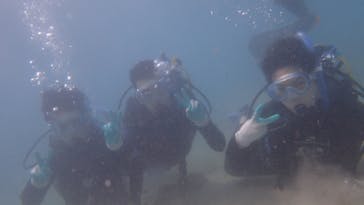 ダイビングショップ Sea Free（シーフリー）に投稿された画像（2020/9/4）