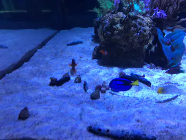 すみだ水族館に投稿された画像（2020/9/4）