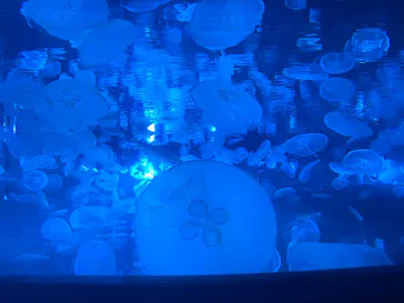 すみだ水族館に投稿された画像（2020/9/4）