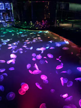 すみだ水族館に投稿された画像（2020/9/4）