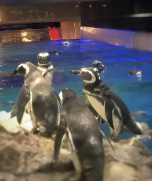 すみだ水族館に投稿された画像（2020/9/4）