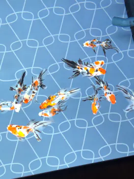 すみだ水族館に投稿された画像（2020/9/4）