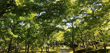 箱根美術館に投稿された画像（2020/9/4）