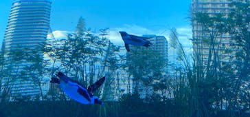 サンシャイン水族館に投稿された画像（2020/9/4）